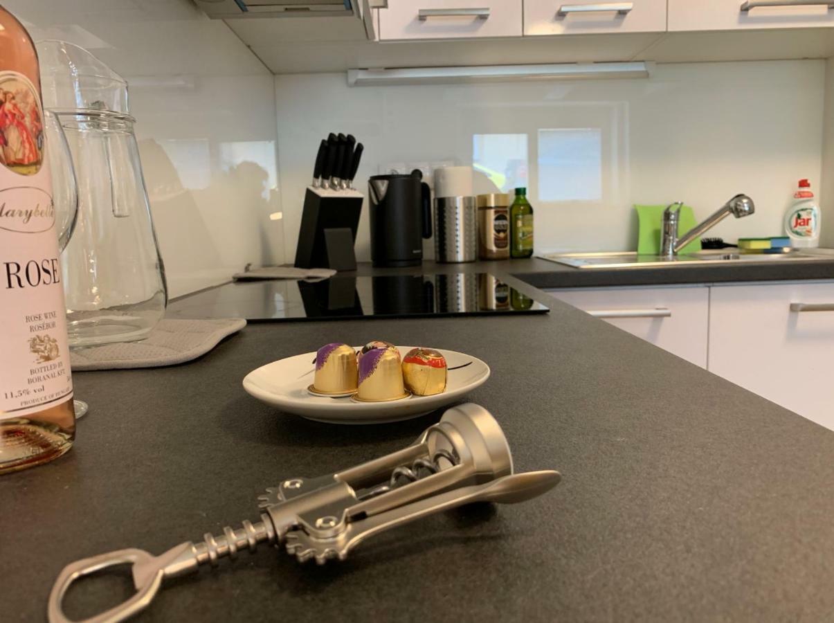 Ap 1 - Apartments 4U Brezinova "Overnight Simply" Hradec Kralove Luaran gambar